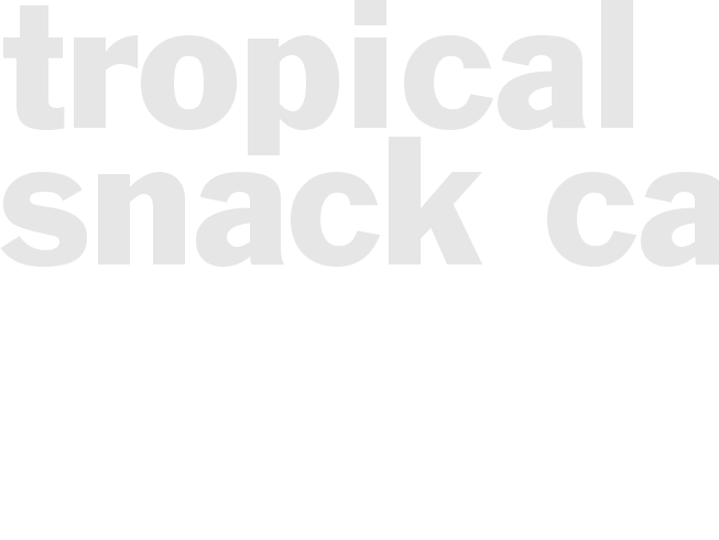Tropical Snack Cake