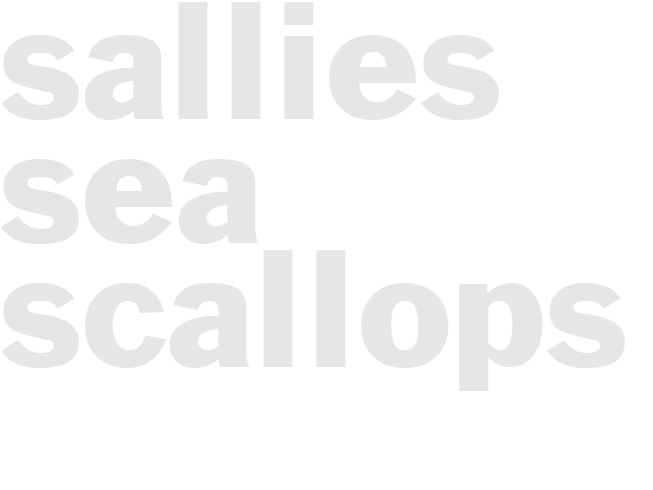 Sallies Sea Scallops