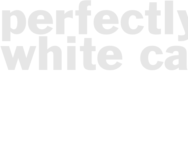 Perfectly White Cake