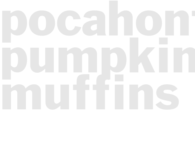 Pocahontas Pumpkin Muffins