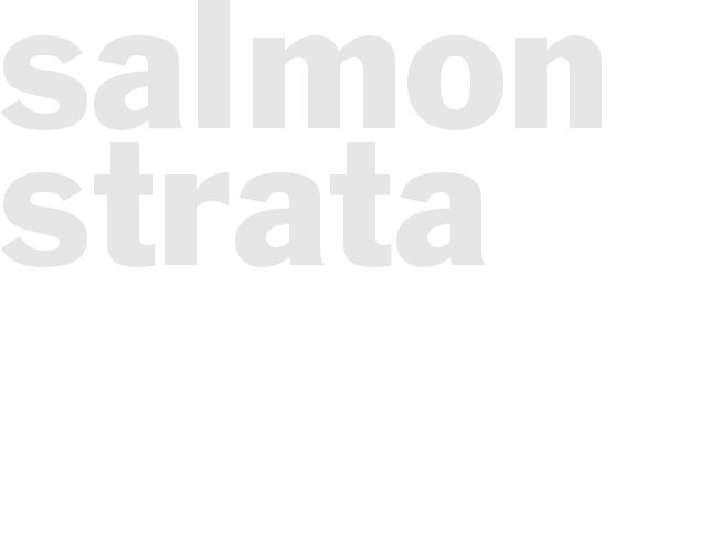 Salmon Strata