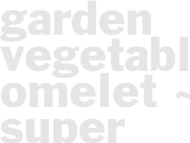 Garden Vegetable Omelet ~ super fancy~