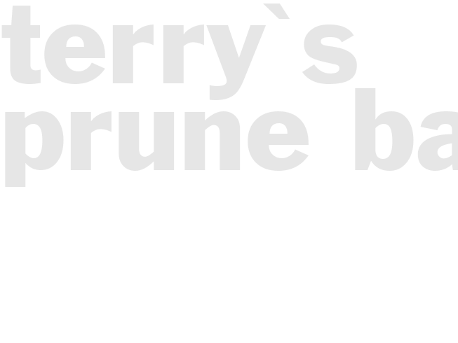 Terry's Prune Bars