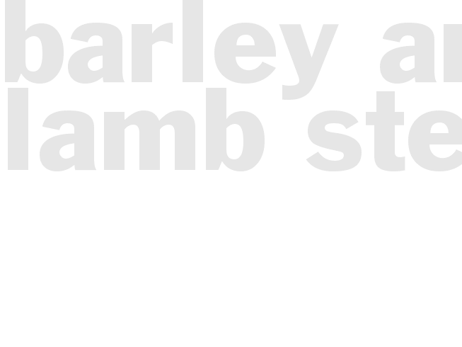 Barley And Lamb Stew