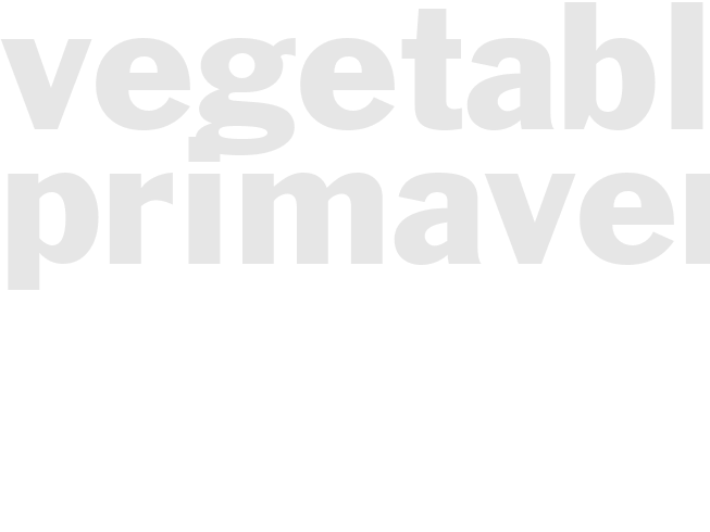 Vegetable Primavera