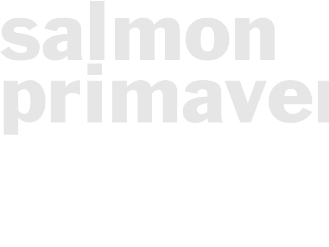 Salmon Primavera