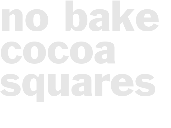 No-Bake Cocoa Squares