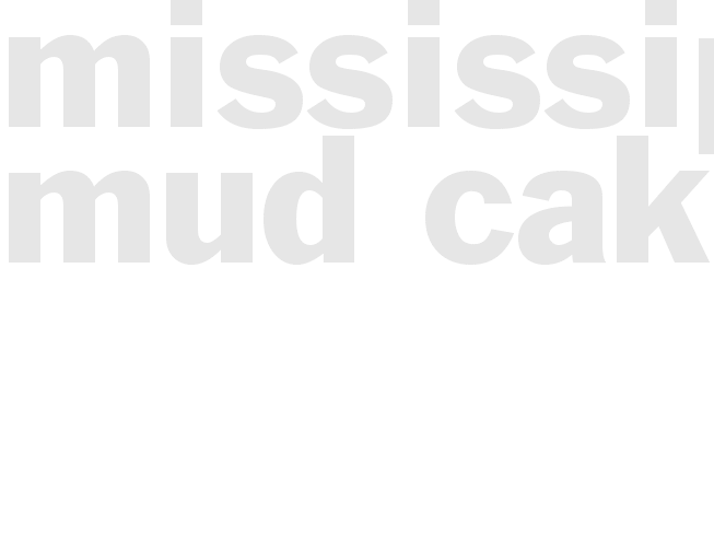 Mississippi Mud Cake