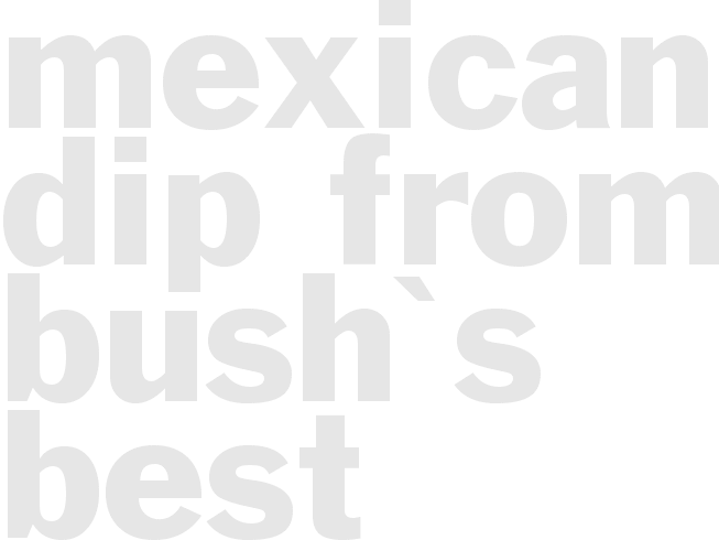 Mexican Dip From Bush's Best