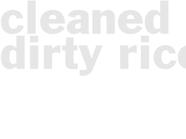 CLEANED-UP DIRTY RICE