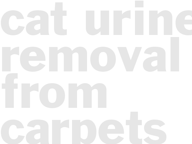 Cat Urine Removal from carpets