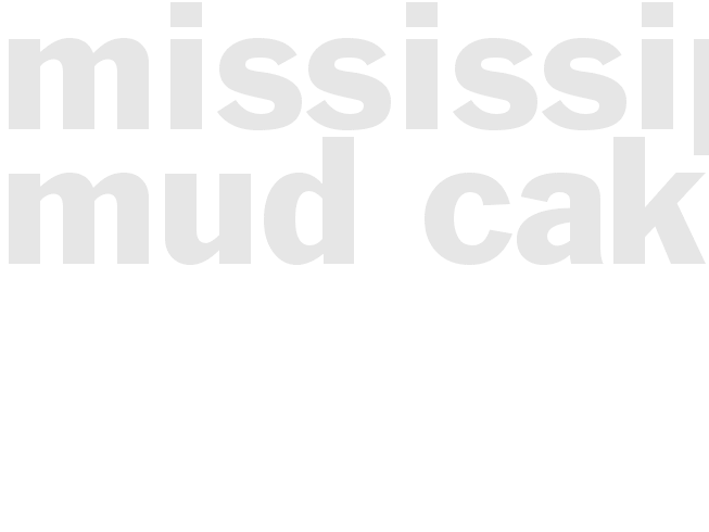 Mississippi Mud Cake