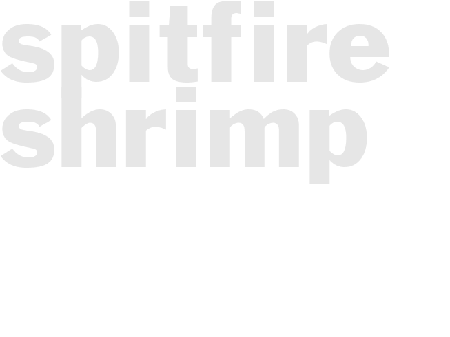 SPITFIRE SHRIMP