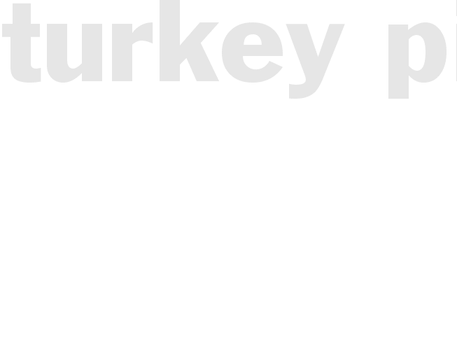 Turkey Pie