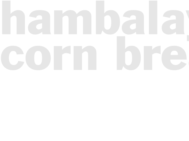 HAMBALAYA CORN BREAD
