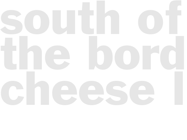 SOUTH OF THE BORDER CHEESE LOG