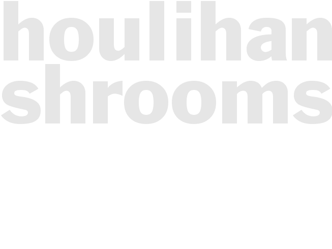 HOULIHANS SHROOMS