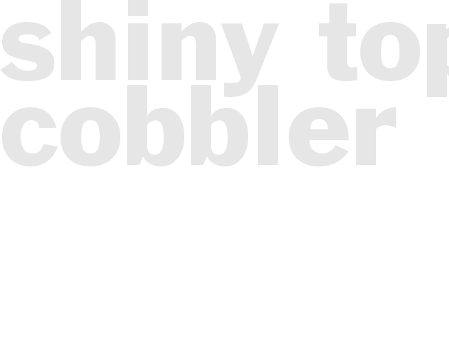 SHINY TOP COBBLER