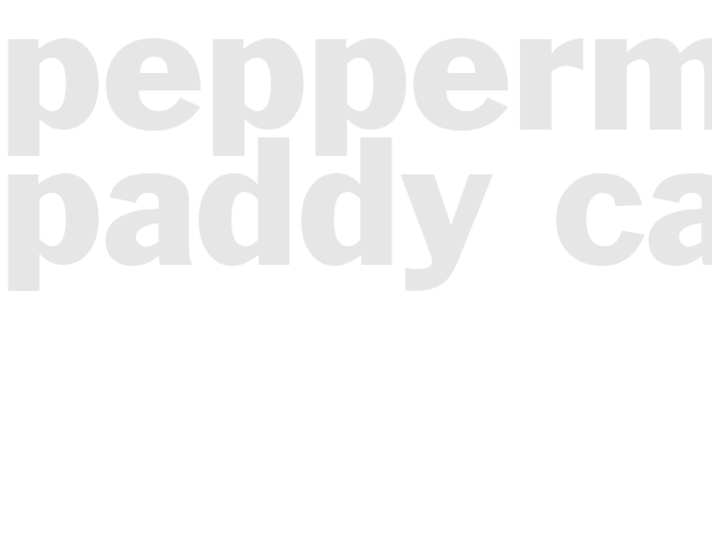 PEPPERMINT PADDY CAKE