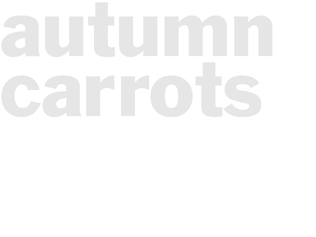 AUTUMN CARROTS
