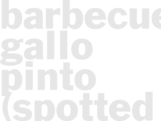 BARBECUE GALLO PINTO (SPOTTED ROOSTER)