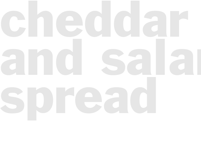 CHEDDAR AND SALAMI SPREAD