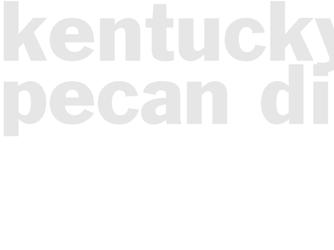 KENTUCKY PECAN DIP
