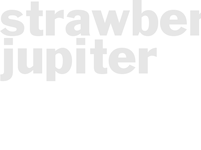 STRAWBERRIES JUPITER