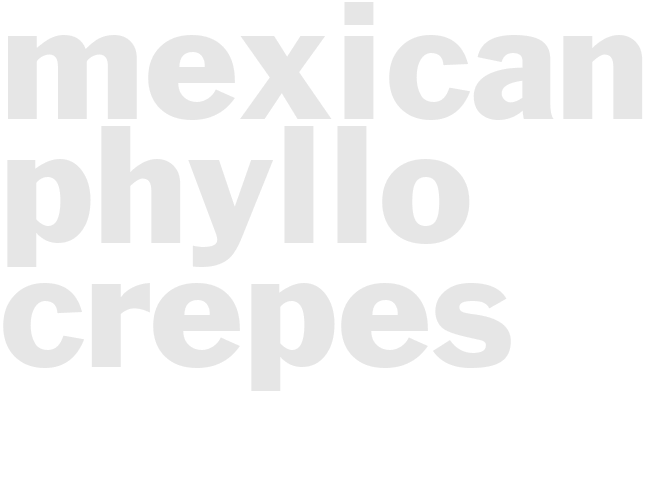 MEXICAN PHYLLO CREPES