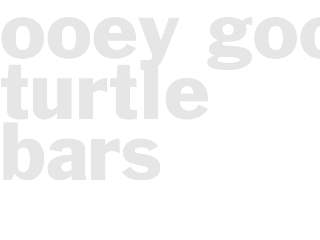 OOEY-GOOEY TURTLE BARS