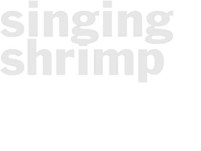 SINGING SHRIMP