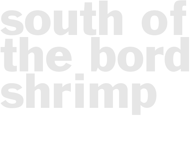 *SOUTH OF THE BORDER SHRIMP*