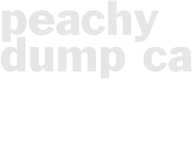 PEACHY DUMP CAKE