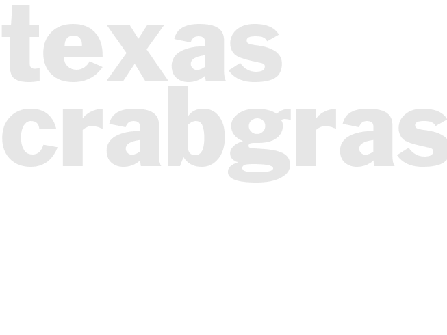 *TEXAS CRABGRASS*