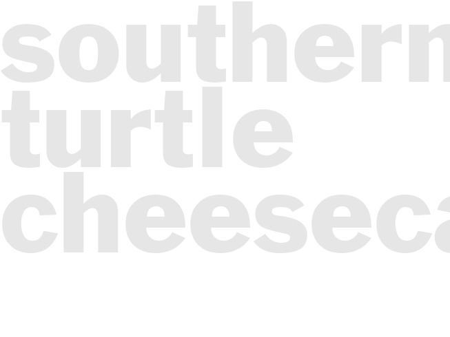 SOUTHERN TURTLE CHEESECAKE