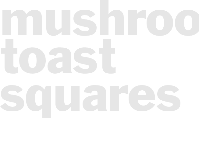 MUSHROOM TOAST SQUARES 