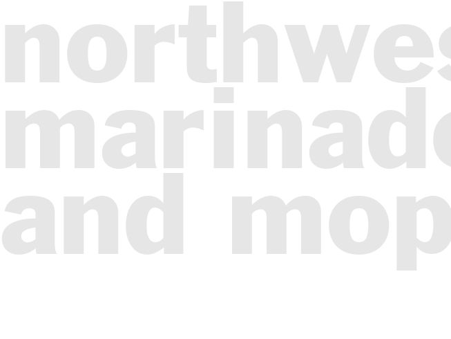 NORTHWESTERN MARINADE AND MOP