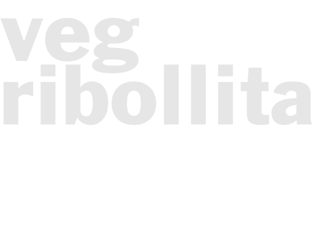 VEG - RIBOLLITA