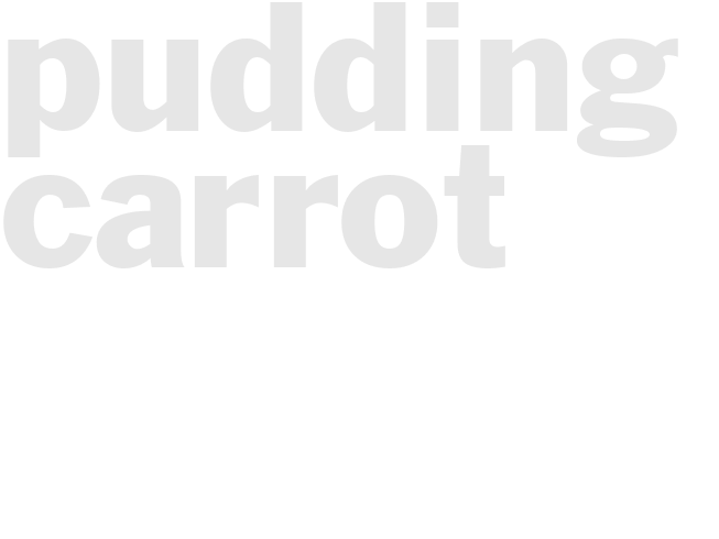 PUDDING - CARROT
