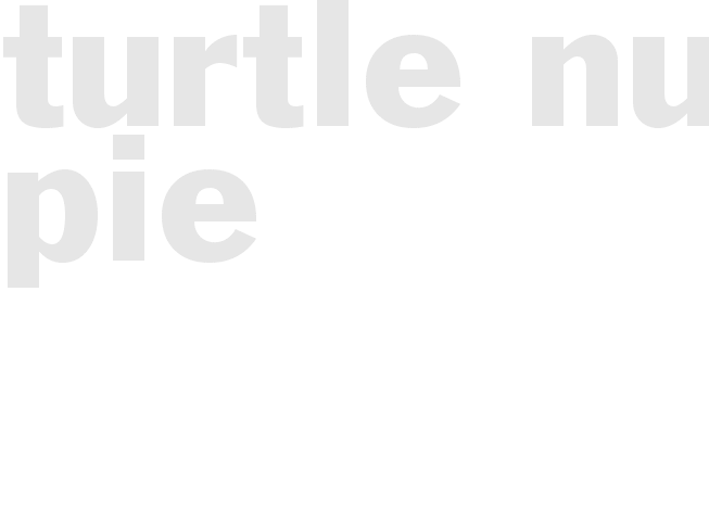 TURTLE NUT PIE