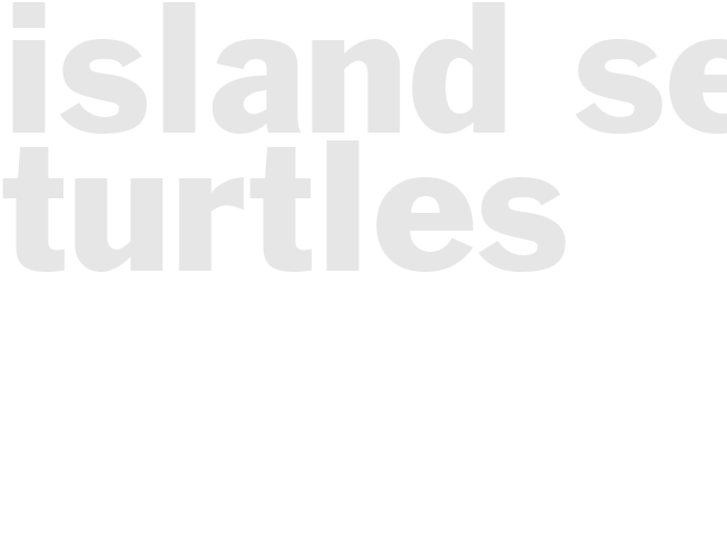 ISLAND SEA TURTLES