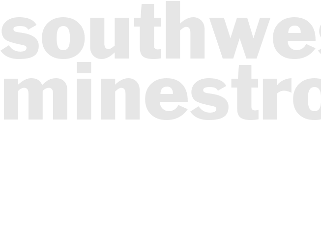 SOUTHWESTERN MINESTRONE