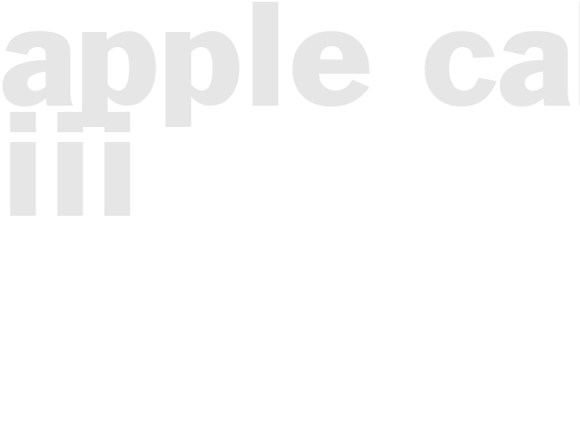 APPLE CAKE III