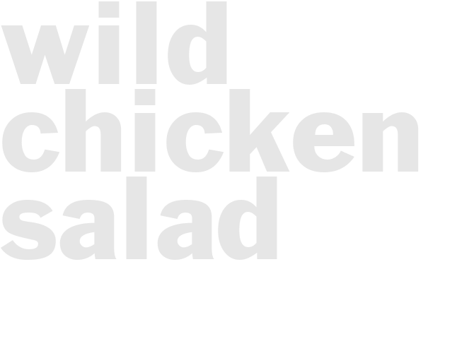 WILD CHICKEN SALAD
