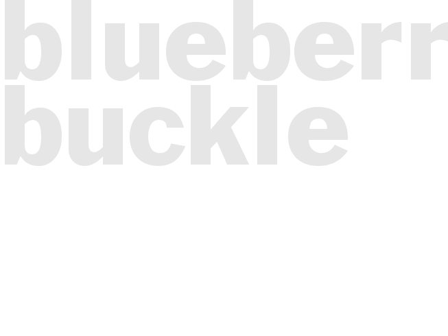 BLUEBERRY BUCKLE