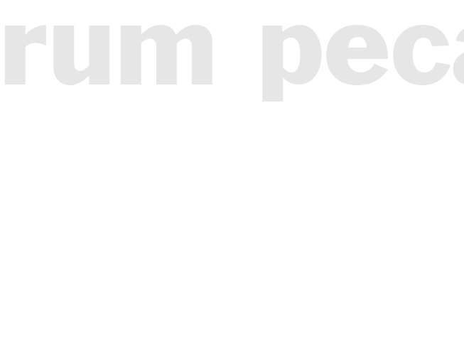 RUM PECANS