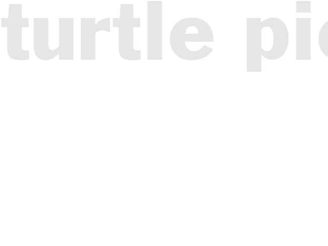 TURTLE PIE
