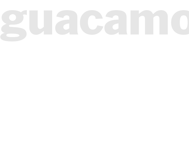 GUACAMOLE