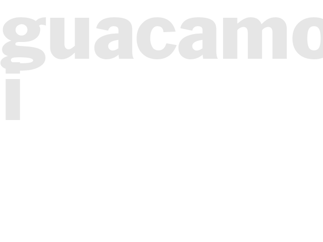GUACAMOLE I