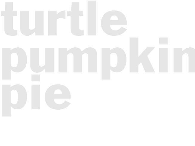 TURTLE PUMPKIN PIE